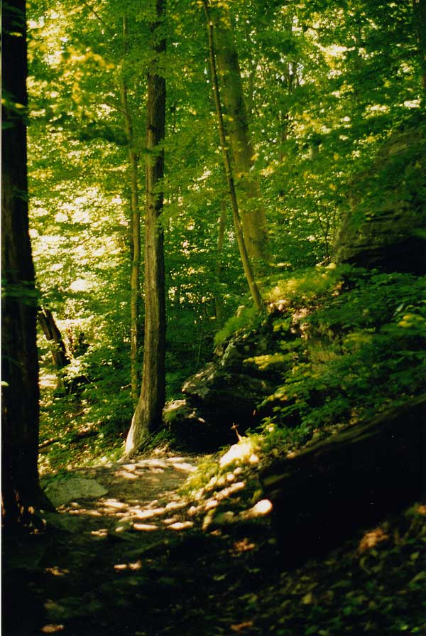 the wissahickon valley